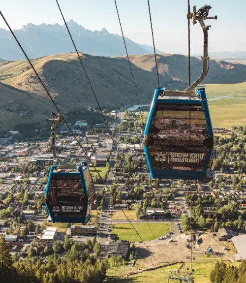 Tram & Gondola Rides